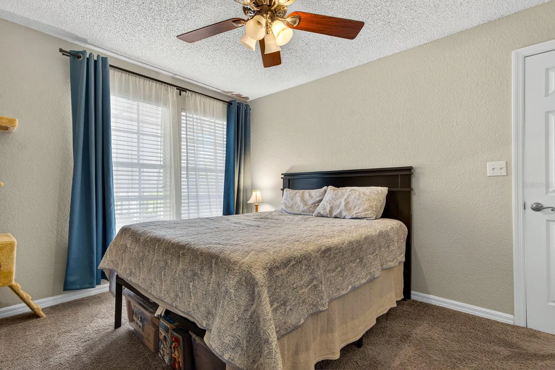 3305 Haviland Court Palm Harbor FL 34684