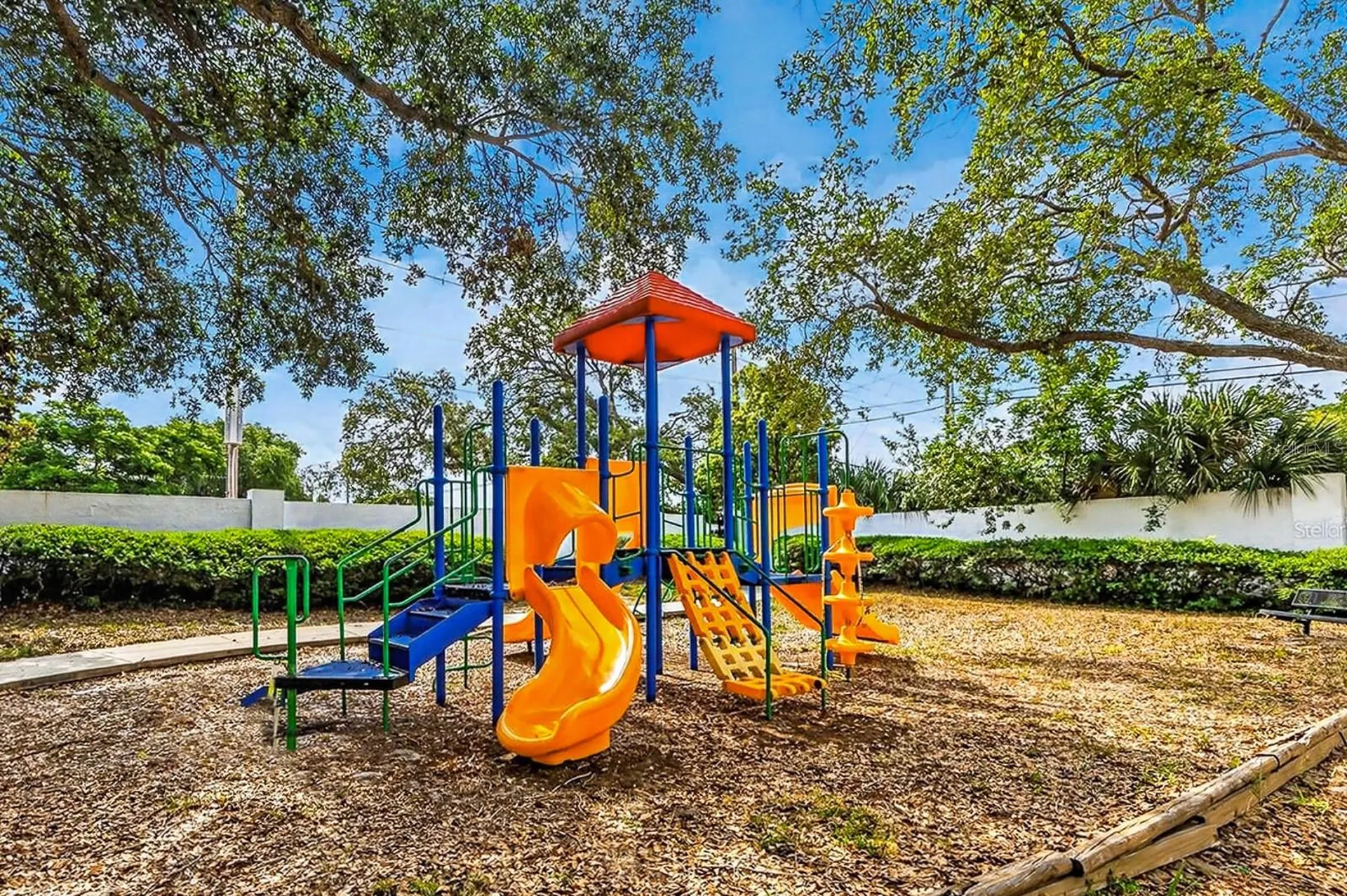 3305 Haviland Court Palm Harbor FL 34684
