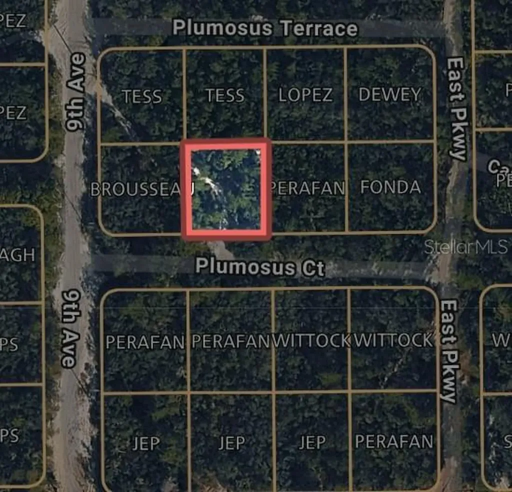 212 Plumosus Court Deland FL 32724