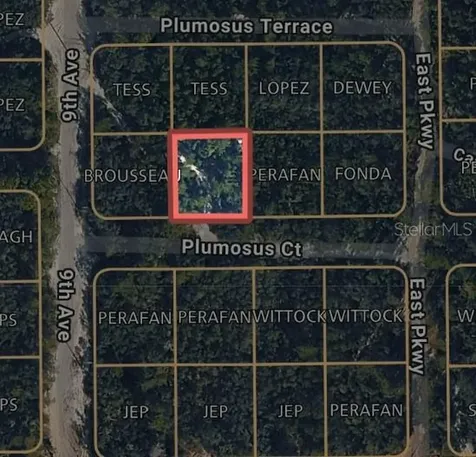 212 Plumosus Court Deland FL 32724