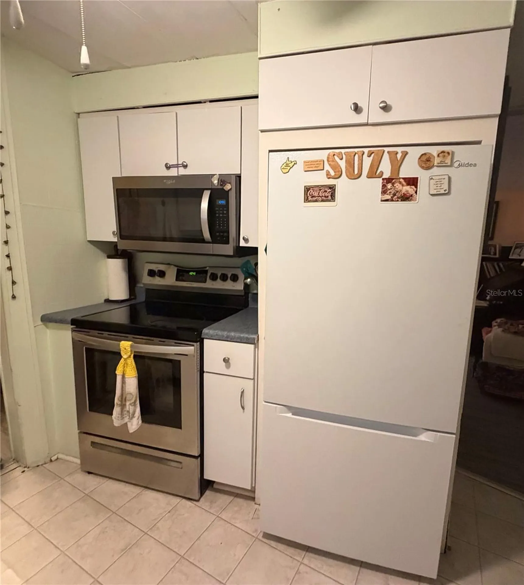 3315 Cr 431n Lake Panasoffkee FL 33538