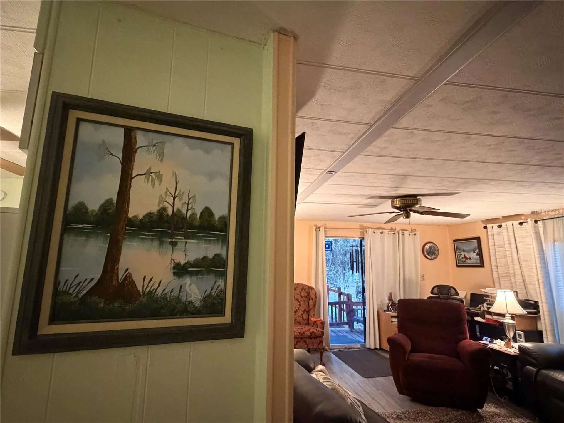 3315 Cr 431n Lake Panasoffkee FL 33538