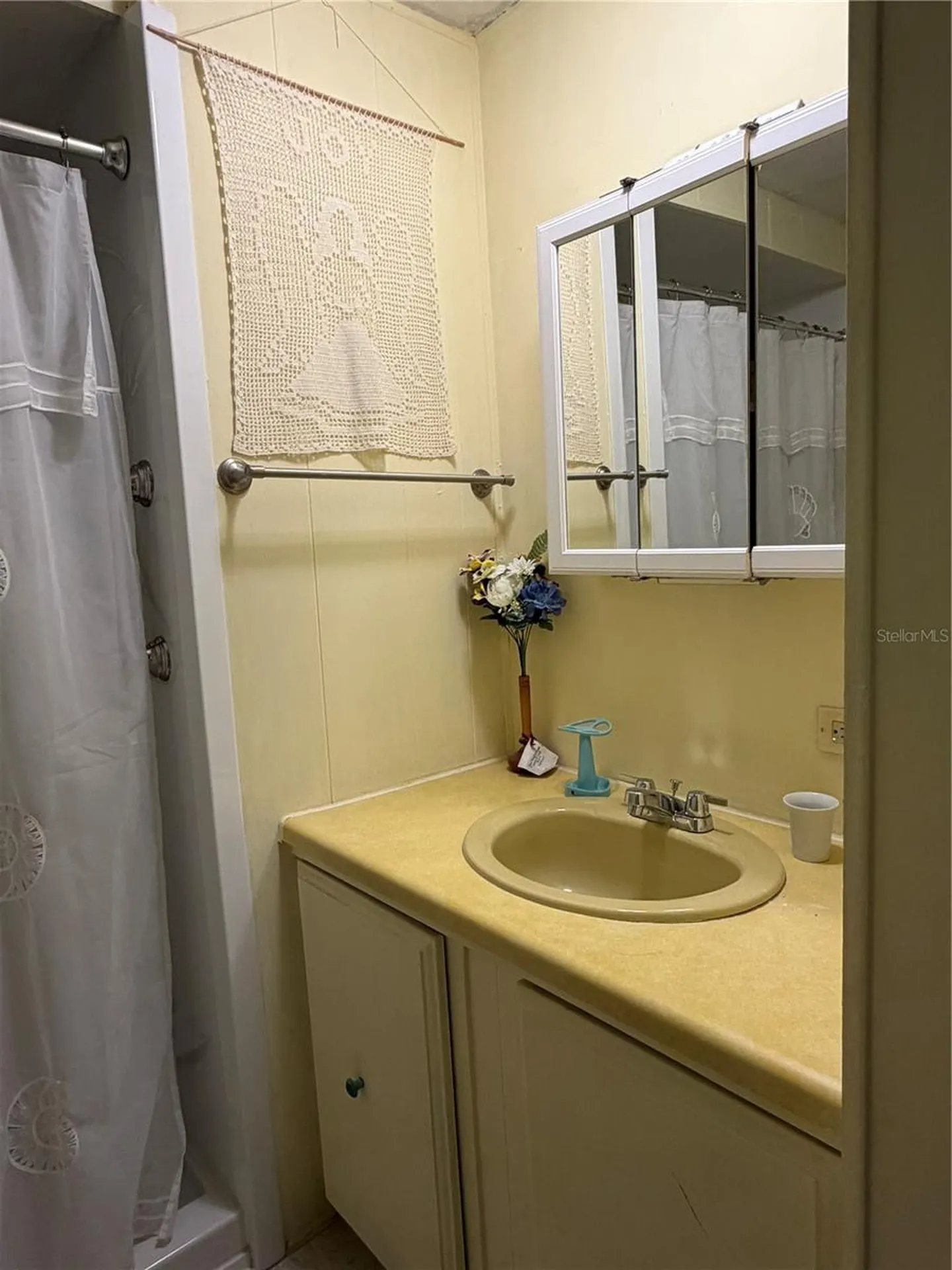3315 Cr 431n Lake Panasoffkee FL 33538