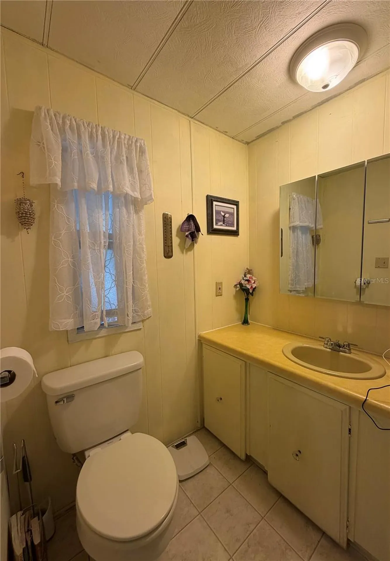 3315 Cr 431n Lake Panasoffkee FL 33538