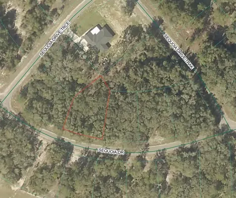 Sequoia Loop Drive Ocklawaha FL 32179