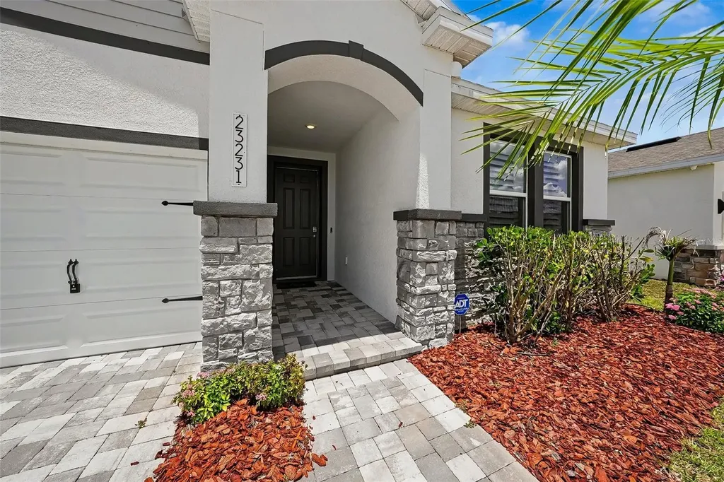23231 Scaglione Drive Lutz FL 33549