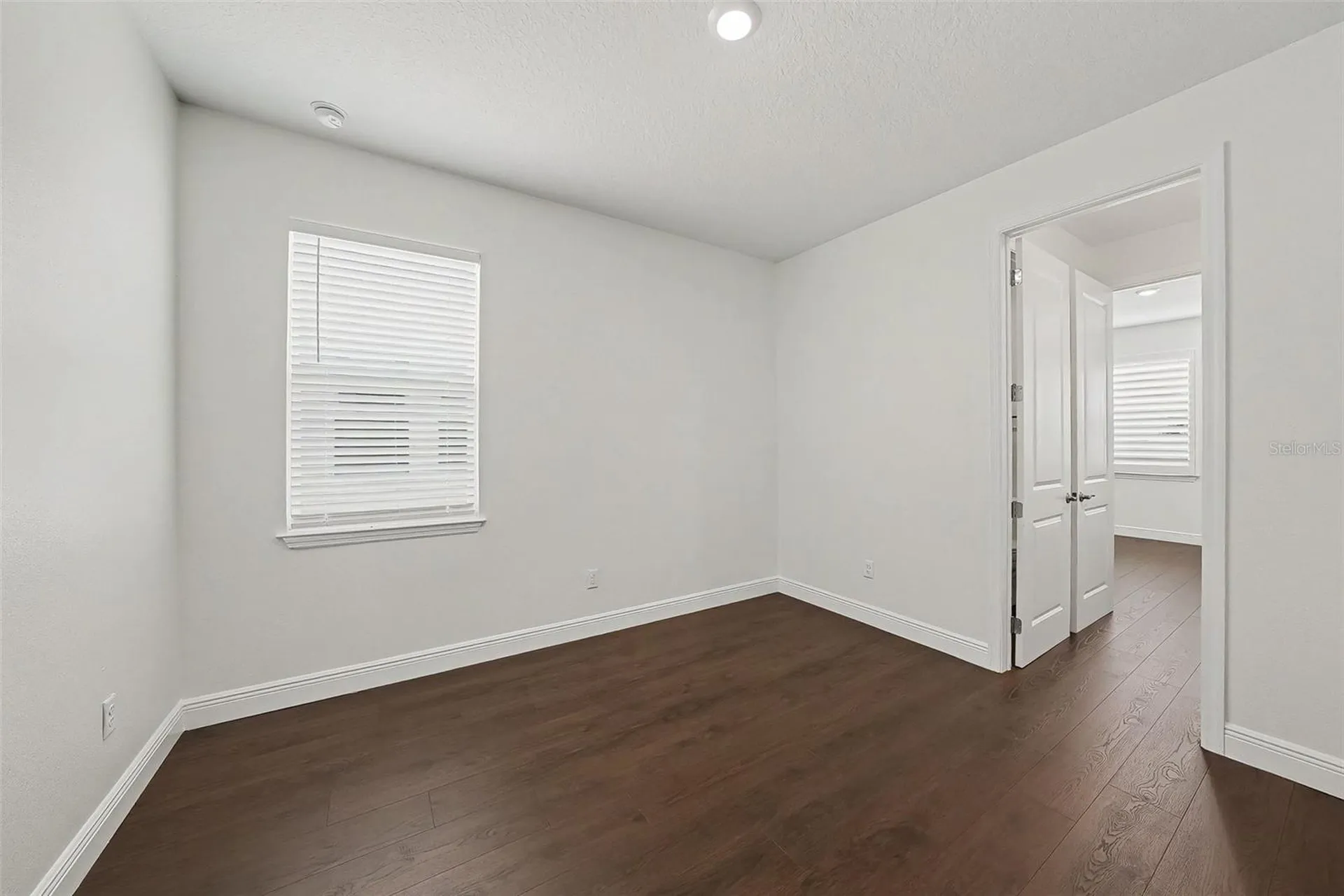 23231 Scaglione Drive Lutz FL 33549