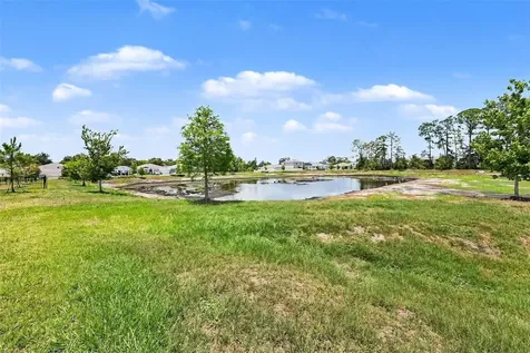 23231 Scaglione Drive Lutz FL 33549