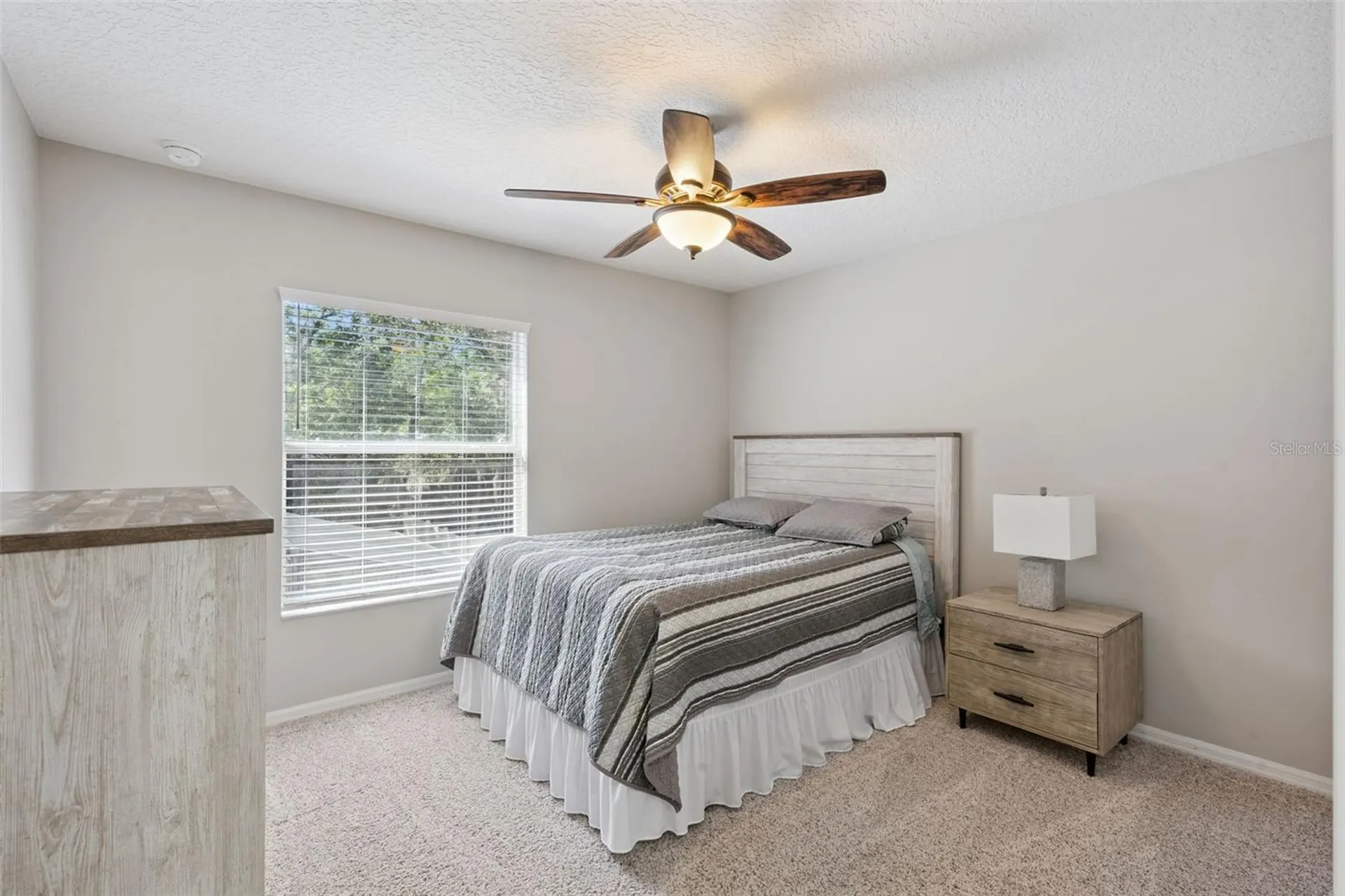 33804 Terragona Drive Sorrento FL 32776