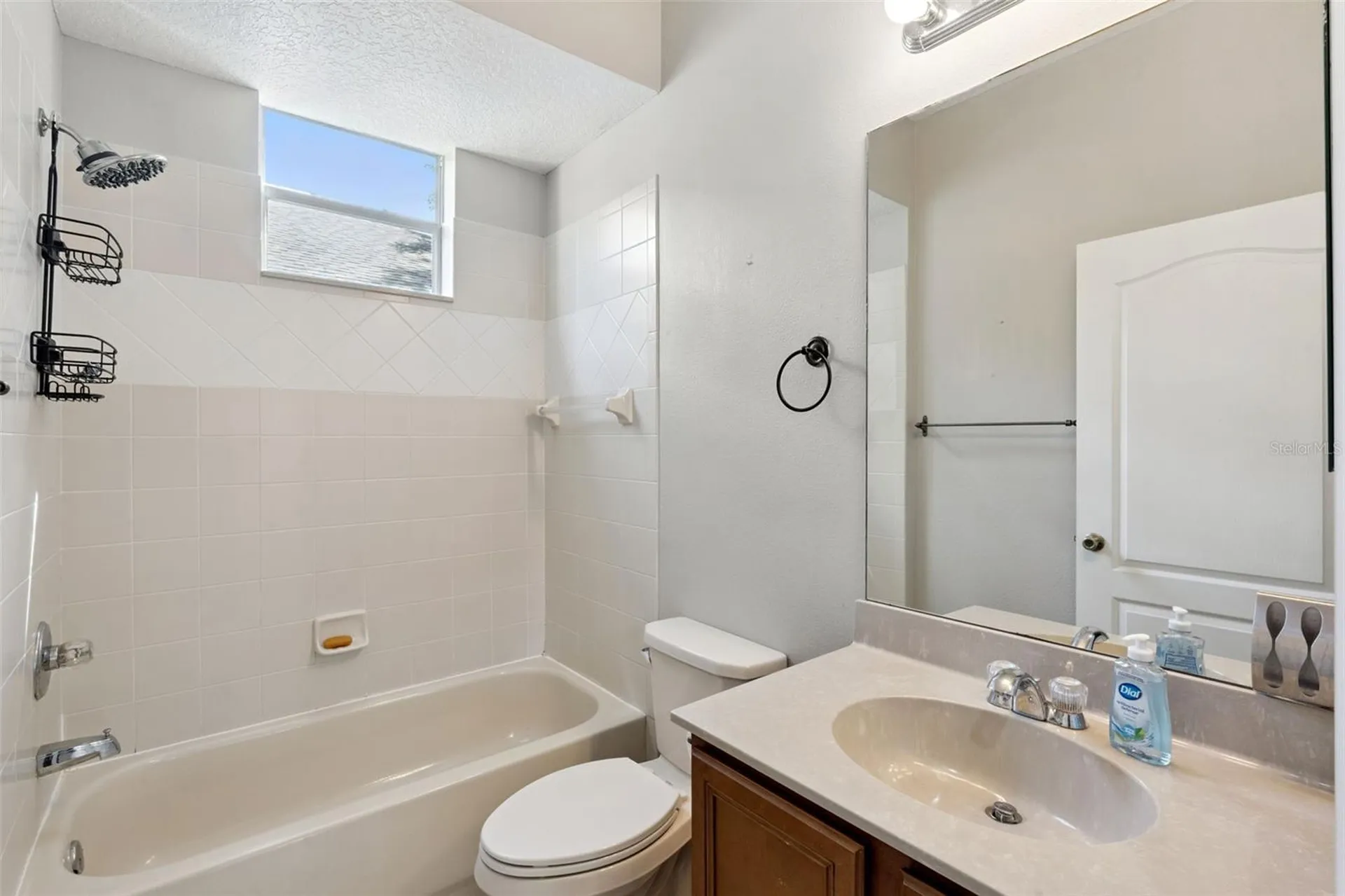 33804 Terragona Drive Sorrento FL 32776