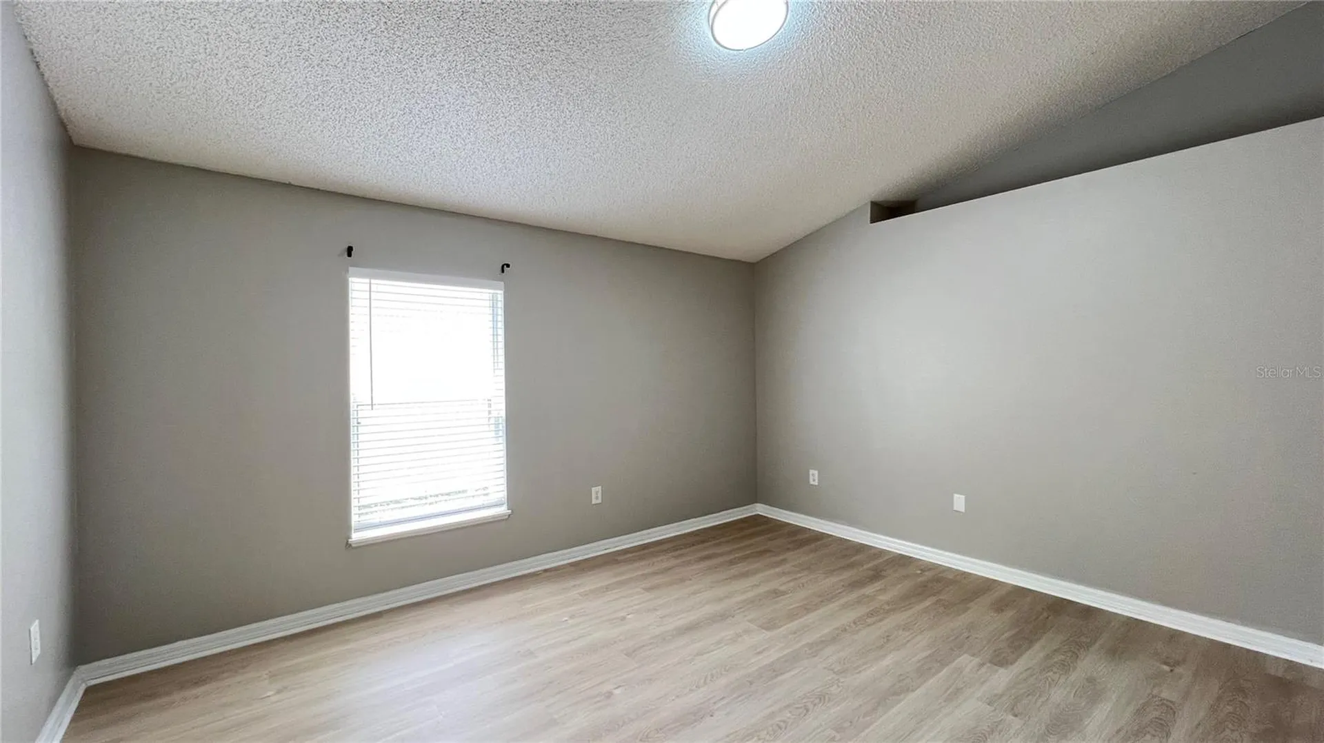 3831 Cinnamon Fern Loop Clermont FL 34714