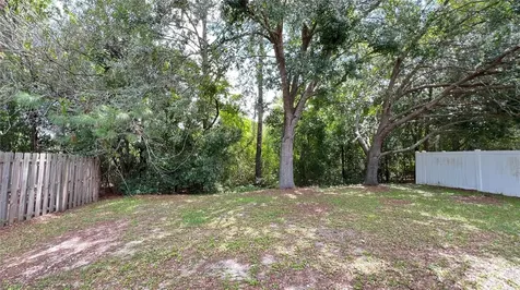 3831 Cinnamon Fern Loop Clermont FL 34714