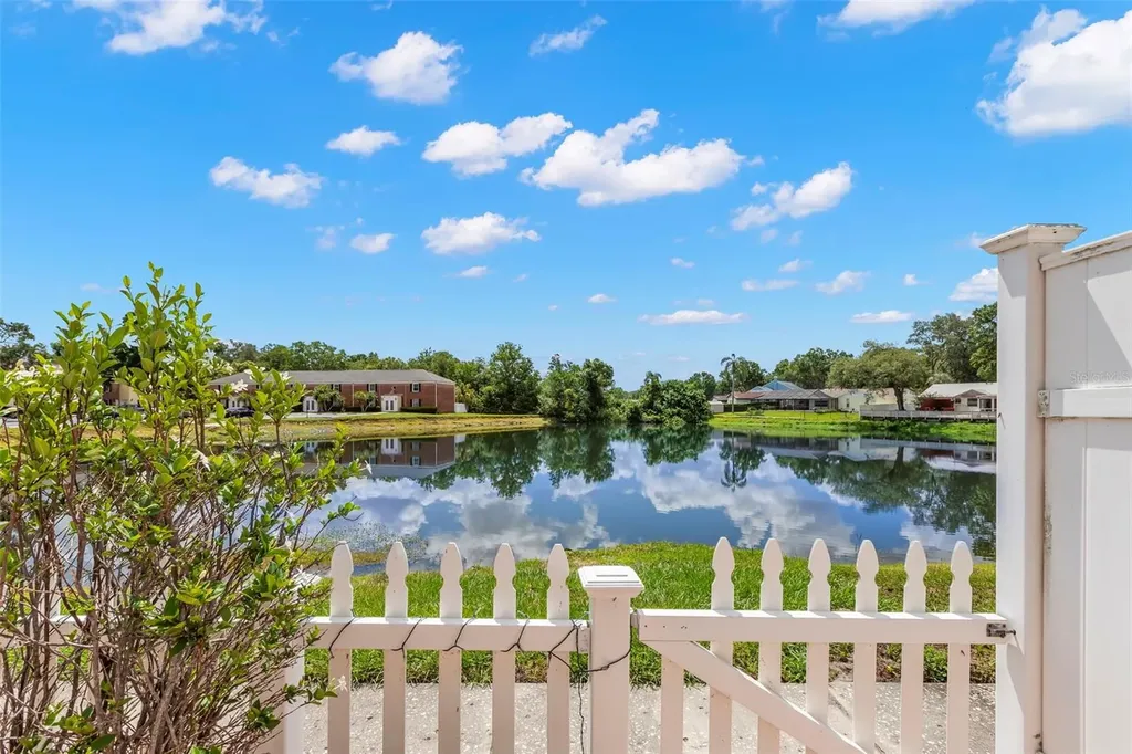 13762 Orange Sunset Drive Tampa FL 33618