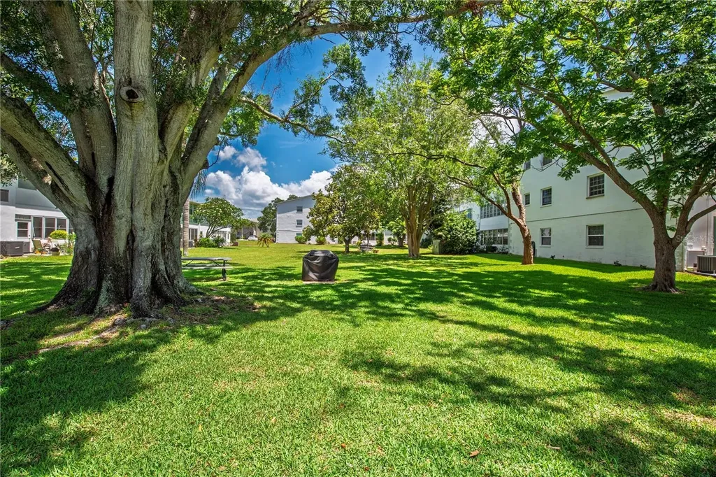 300 Clyde Lane Dunedin FL 34698