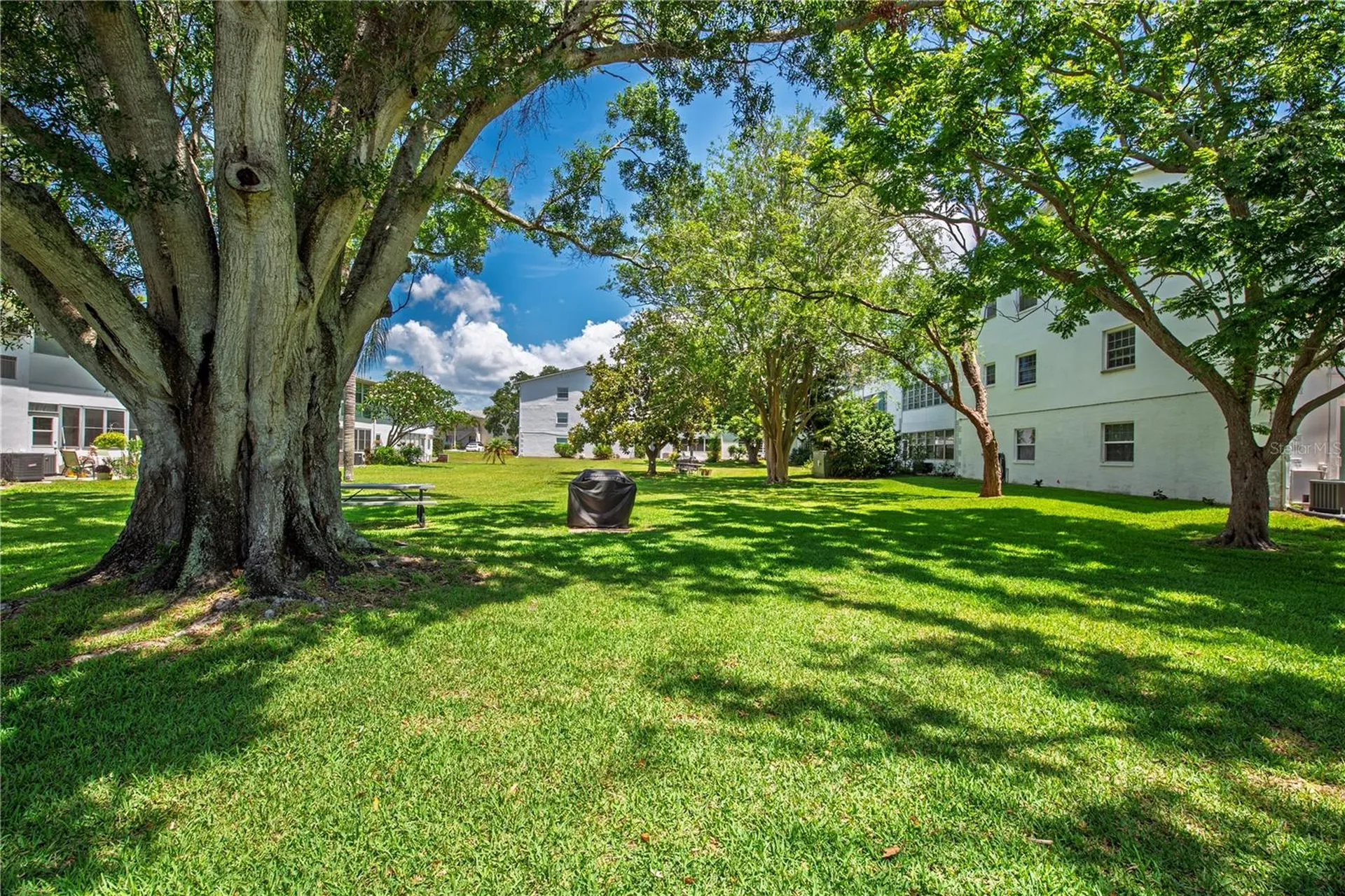 300 Clyde Lane Dunedin FL 34698