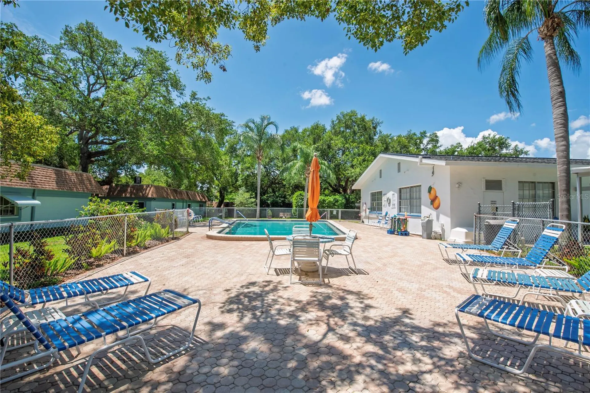300 Clyde Lane Dunedin FL 34698