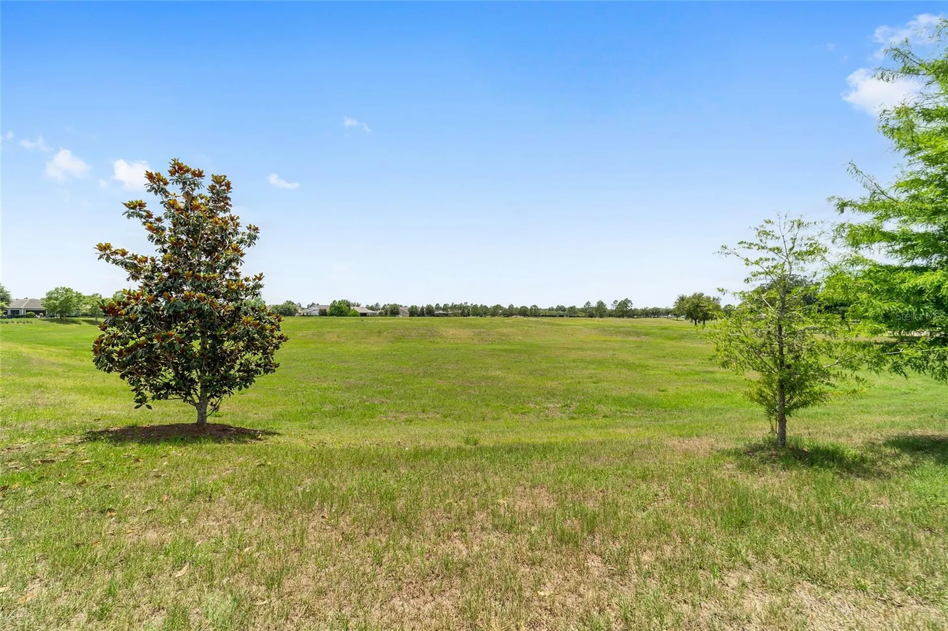 3862 NW 49th Court Ocala FL 34482