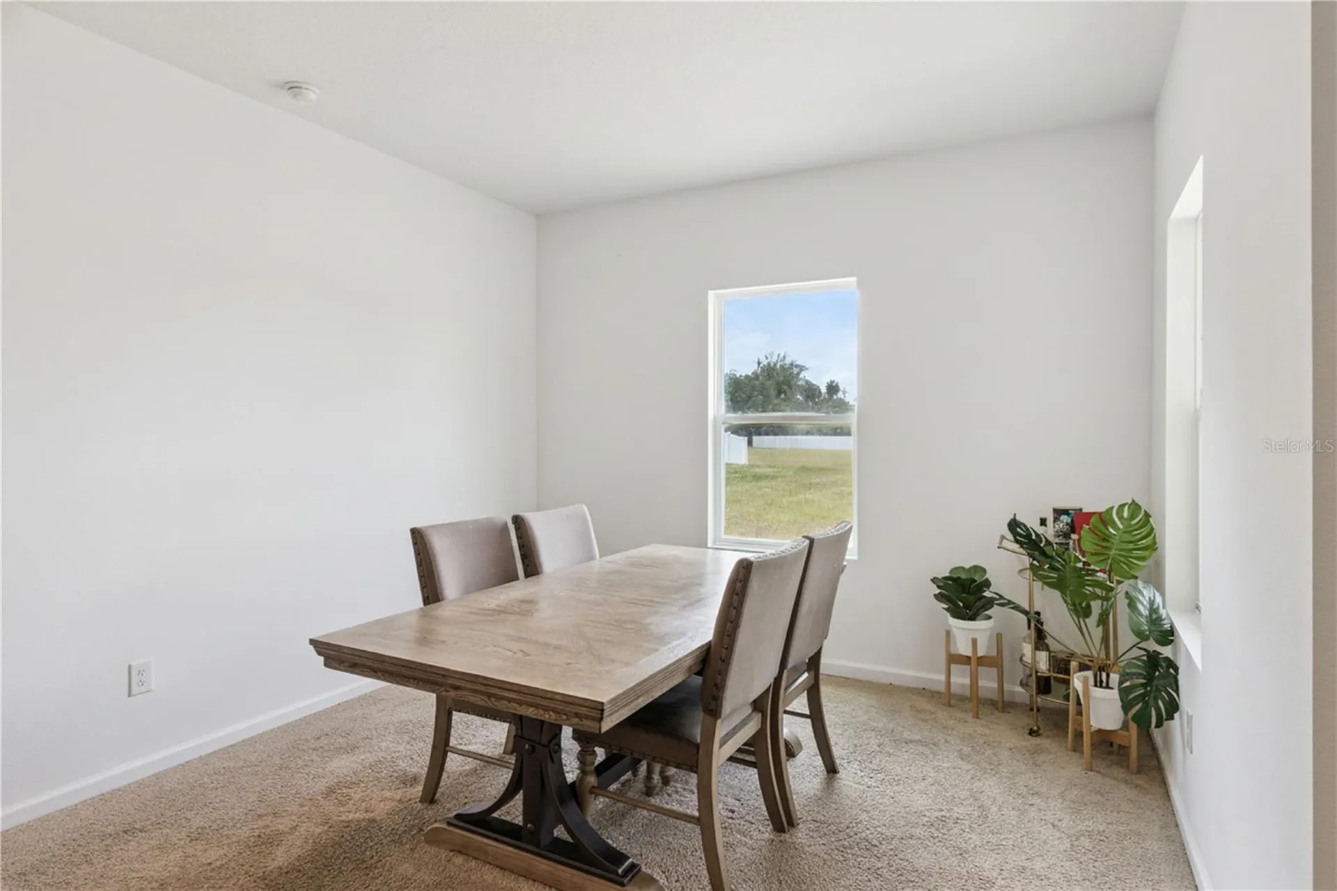 903 Shimmering Oaks Lane Seffner FL 33584