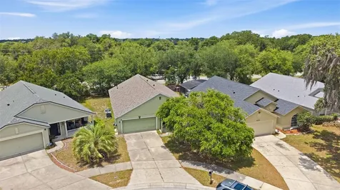3002 Lorimer Court Groveland FL 34736