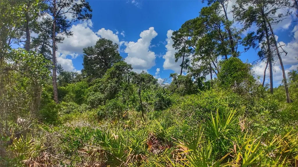 0 Lot 0370 New Port Richey FL 34654