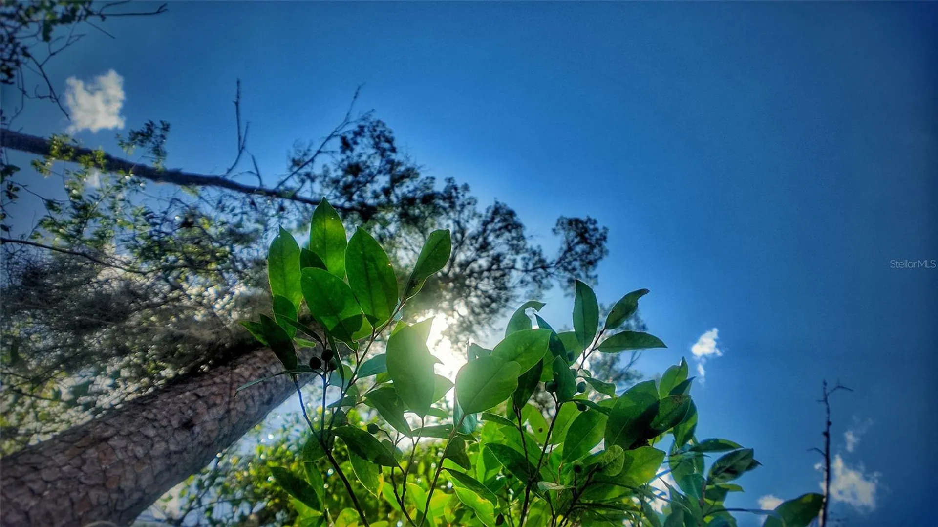 0 Lot 0370 New Port Richey FL 34654