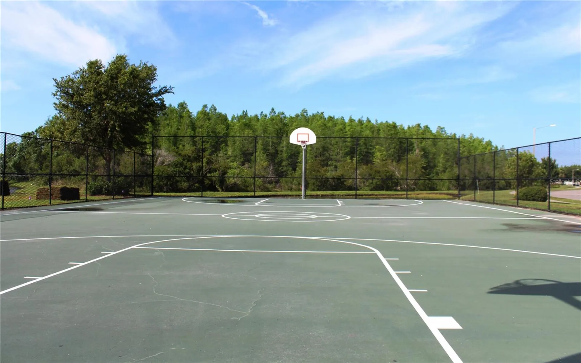 18021 Atherstone Trail Land O Lakes FL 34638