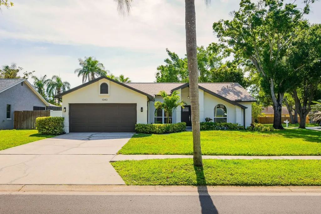 1043 Ridge View Lane Palm Harbor FL 34683