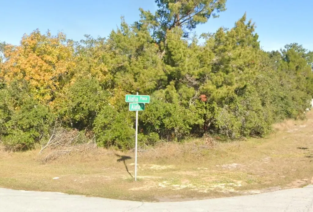 611 Alafia Place Kissimmee FL 34759