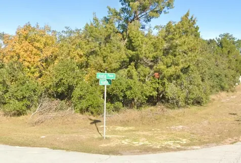 611 Alafia Place Kissimmee FL 34759