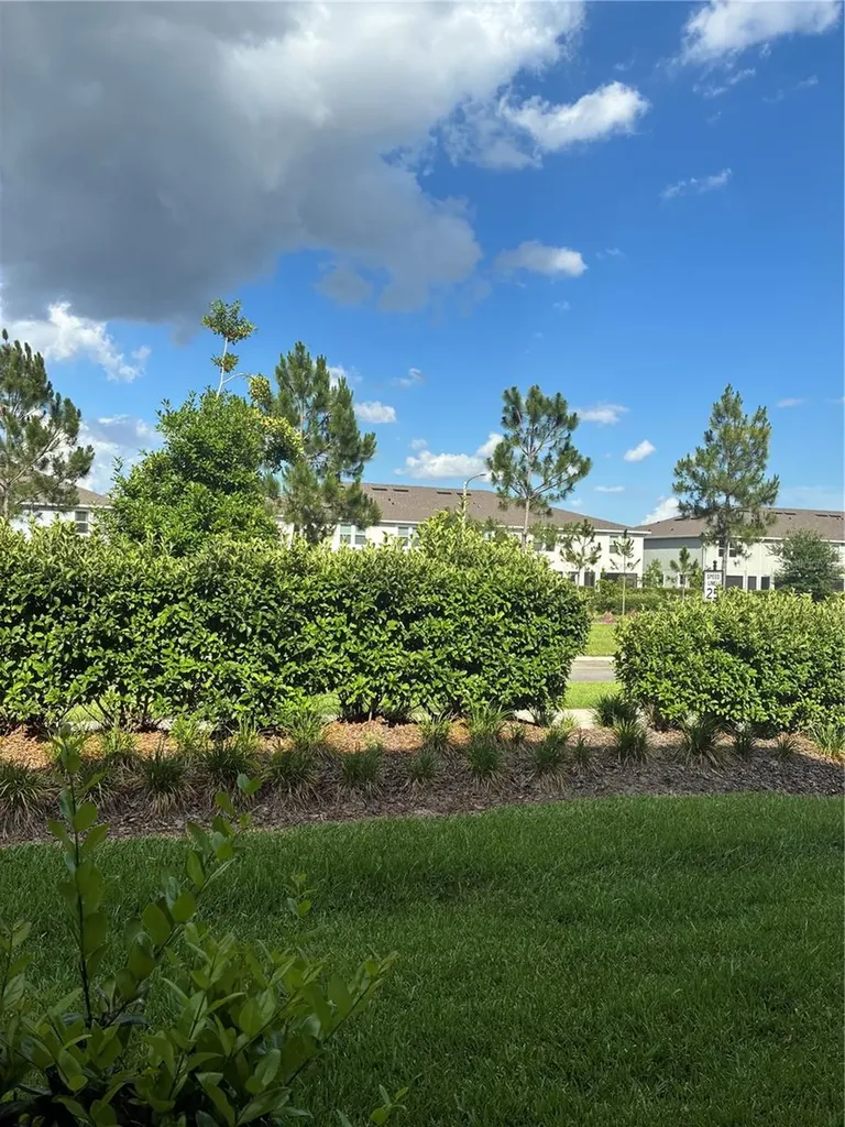 31371 Amberview Bend Wesley Chapel FL 33545