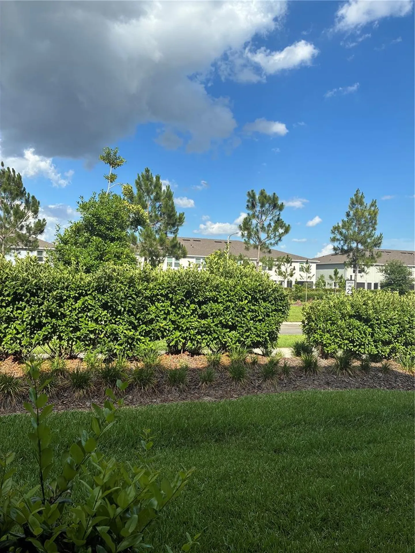 31371 Amberview Bend Wesley Chapel FL 33545