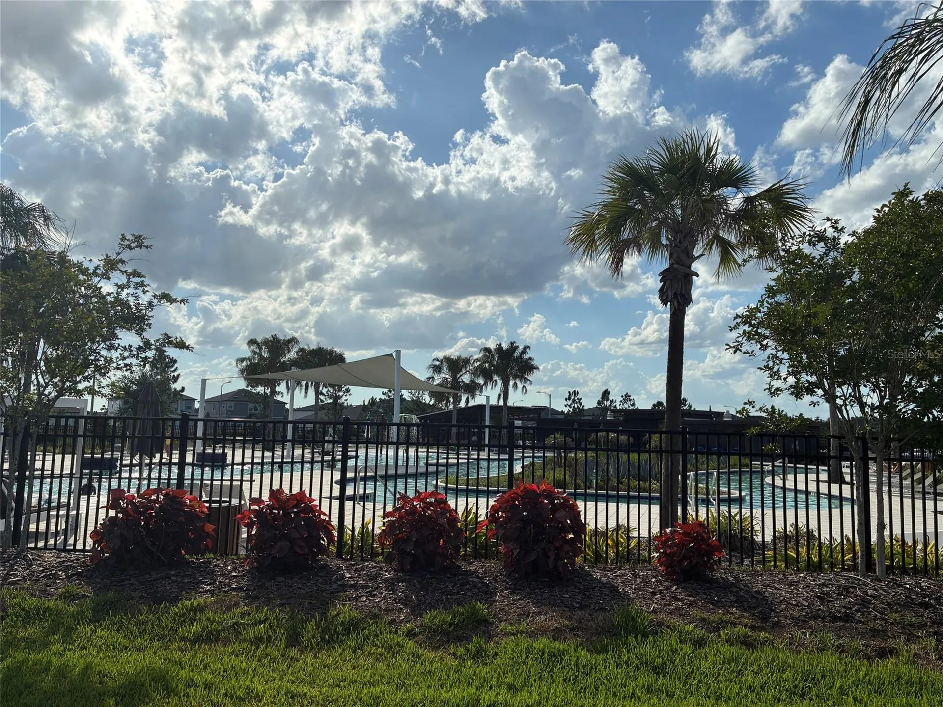 31371 Amberview Bend Wesley Chapel FL 33545