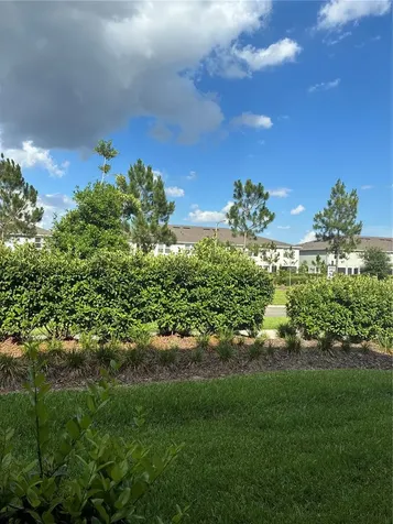 31371 Amberview Bend Wesley Chapel FL 33545