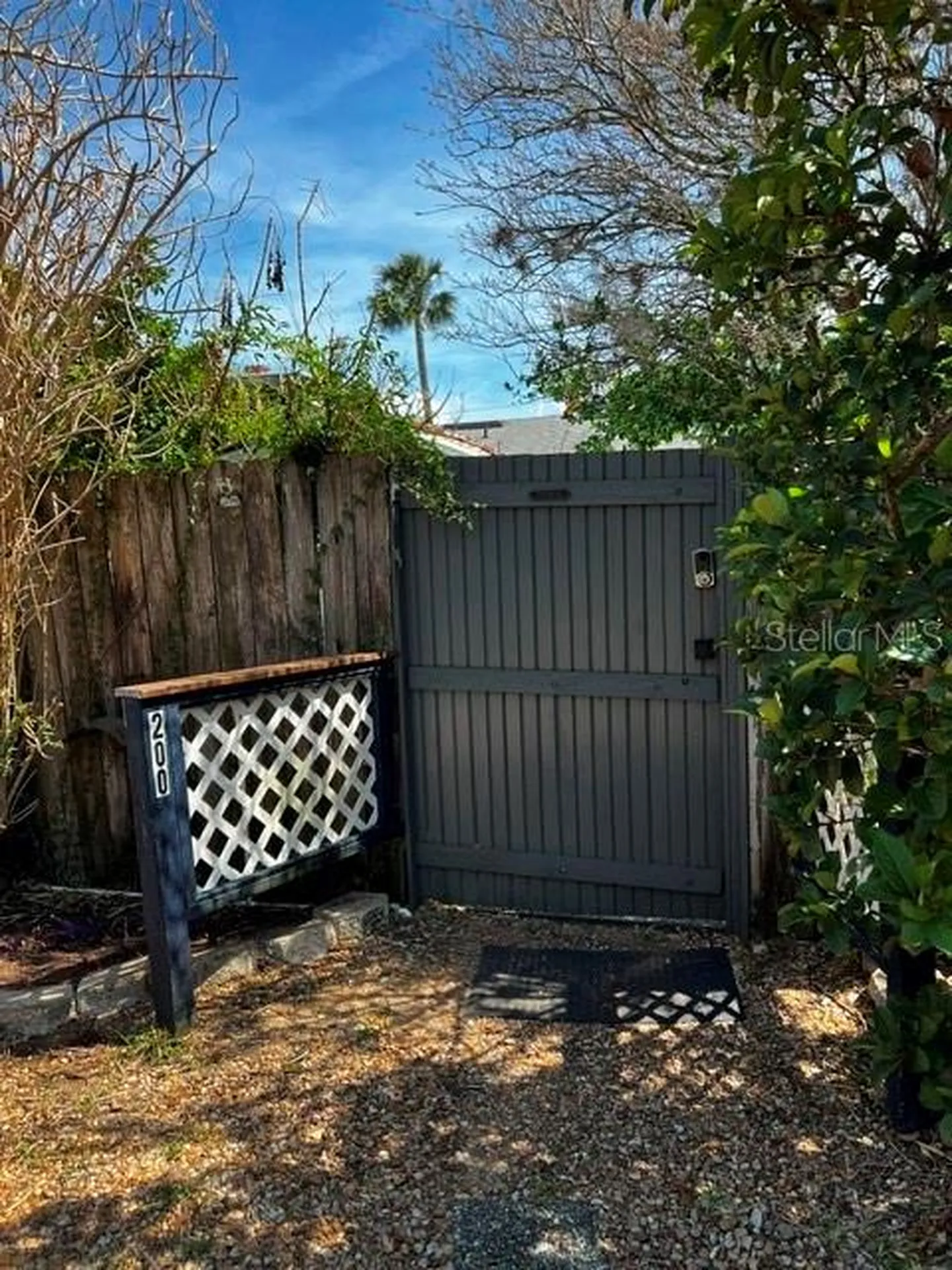 1403 E Alfred Street Tavares FL 32778