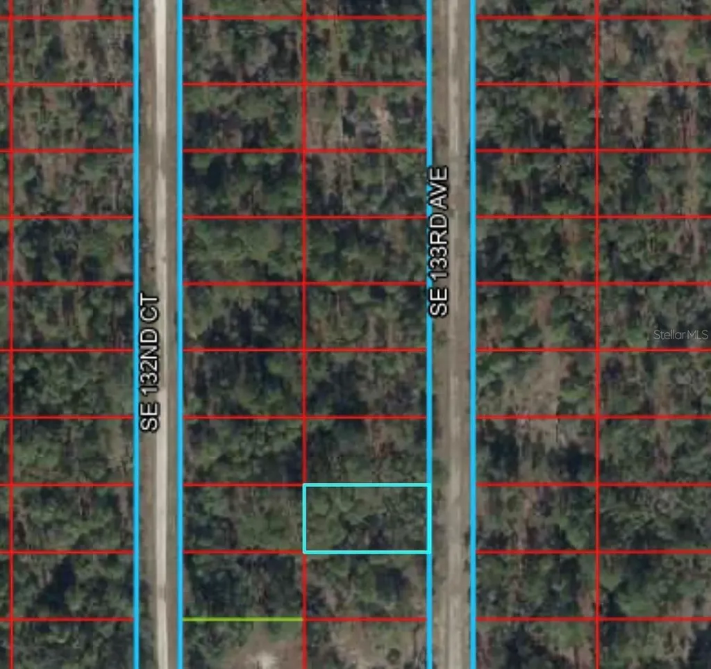 Tbd 133rd Avenue Dunnellon FL 34431