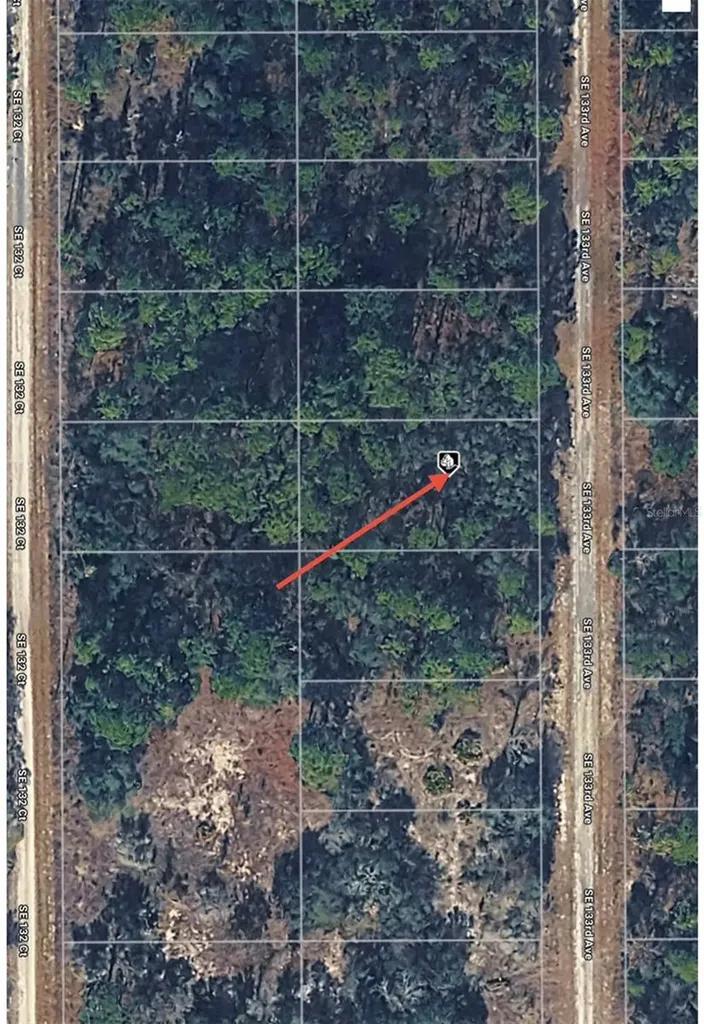 Tbd 133rd Avenue Dunnellon FL 34431