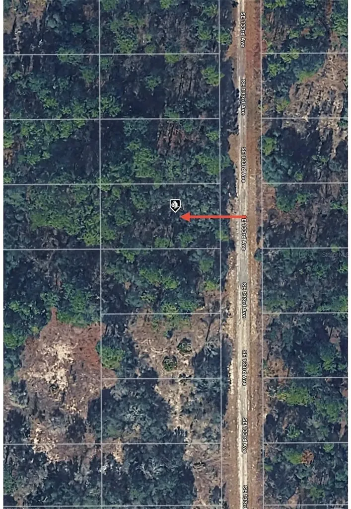 Tbd 133rd Avenue Dunnellon FL 34431