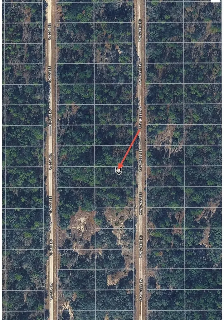 Tbd 133rd Avenue Dunnellon FL 34431