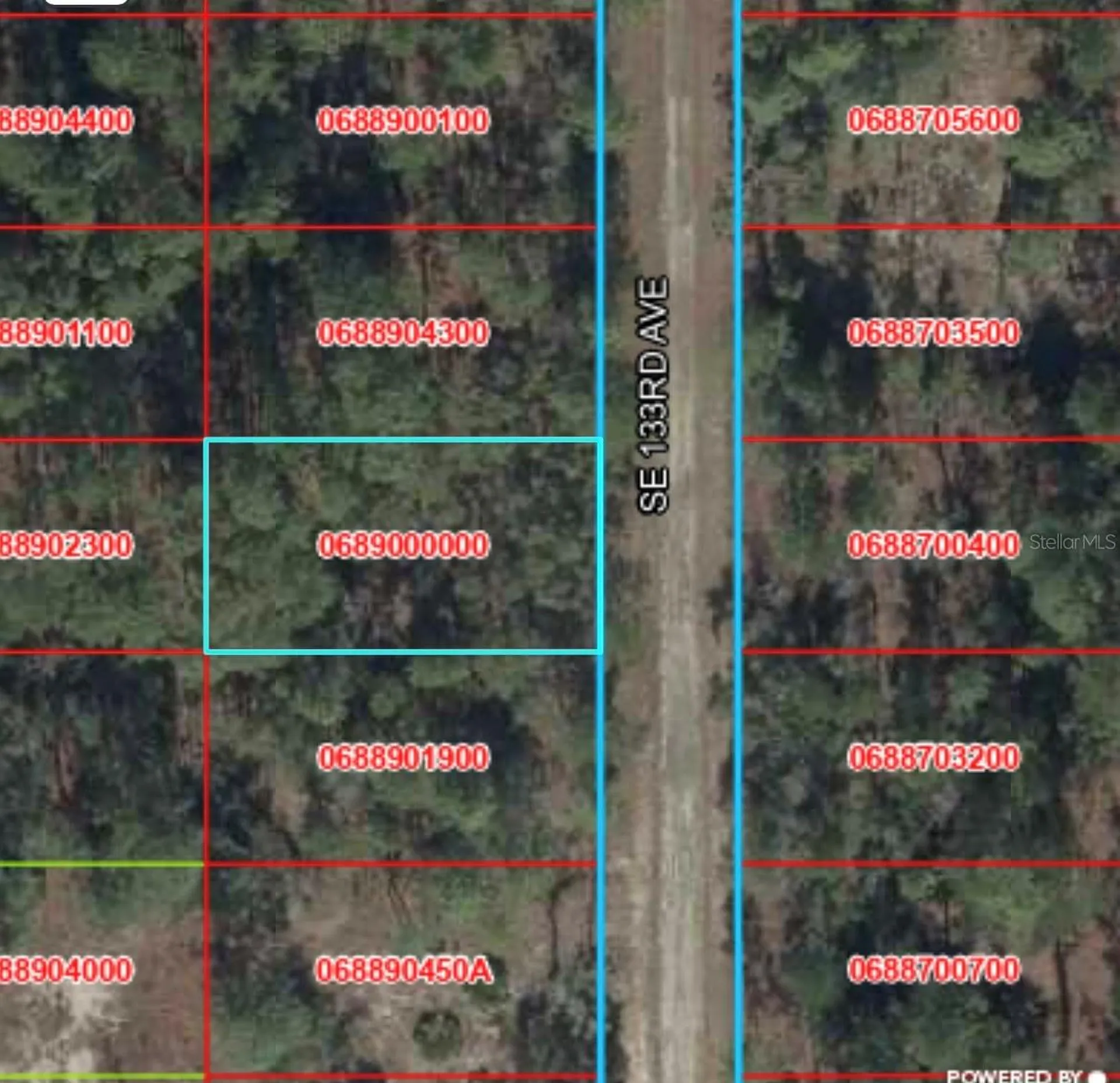 Tbd 133rd Avenue Dunnellon FL 34431