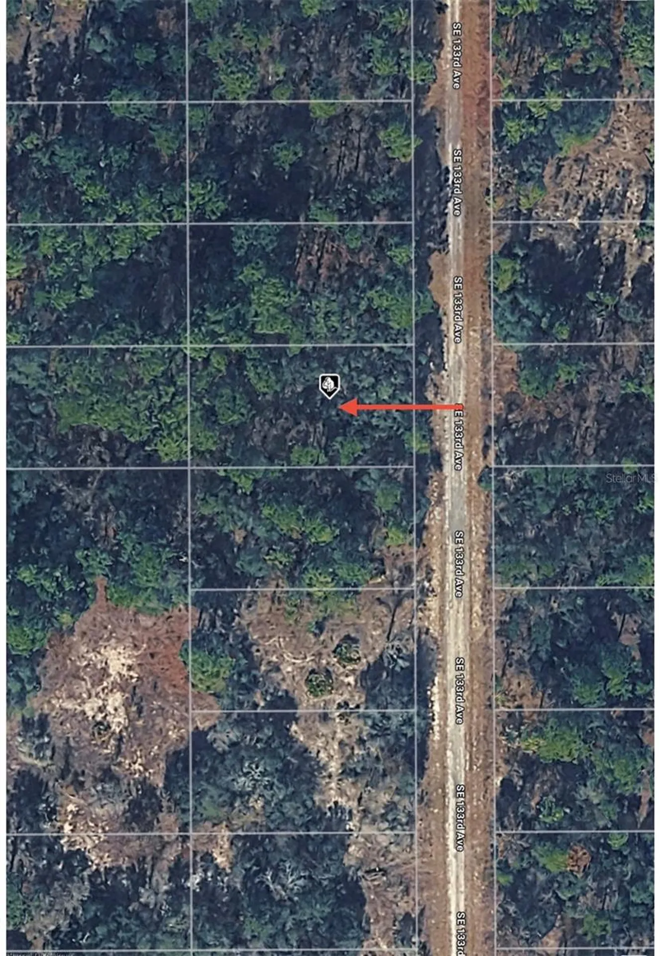 Tbd 133rd Avenue Dunnellon FL 34431
