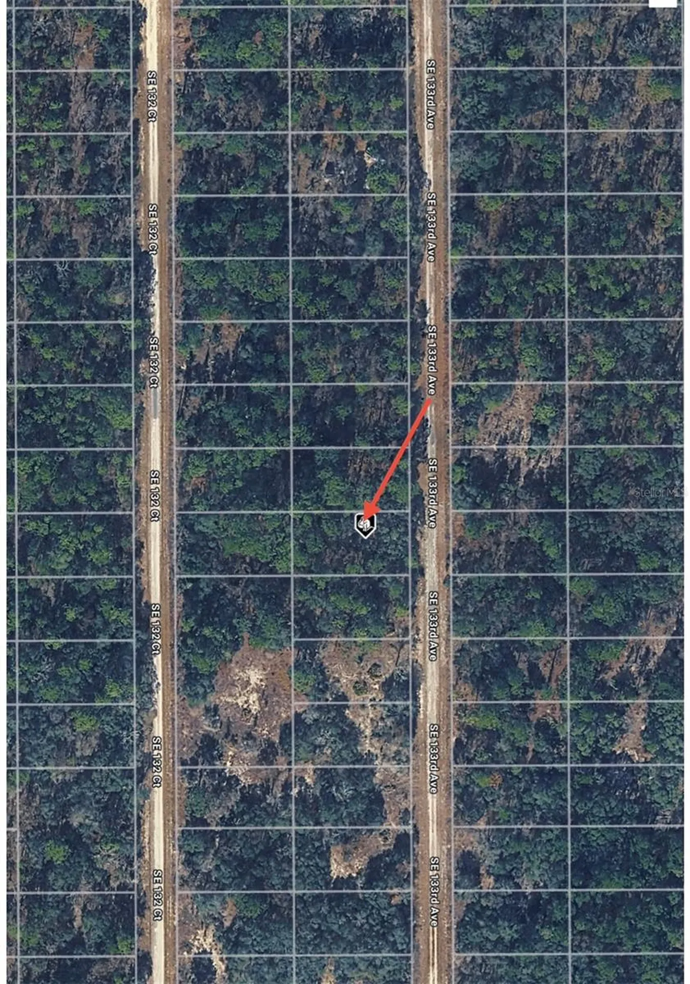 Tbd 133rd Avenue Dunnellon FL 34431