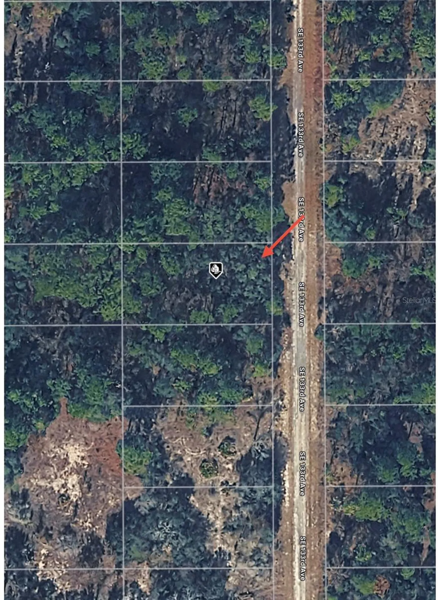Tbd 133rd Avenue Dunnellon FL 34431
