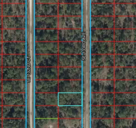 Tbd 133rd Avenue Dunnellon FL 34431