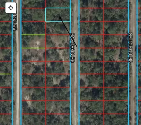 Tbd 133rd Avenue Dunnellon FL 34431