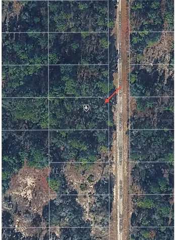 Tbd 133rd Avenue Dunnellon FL 34431