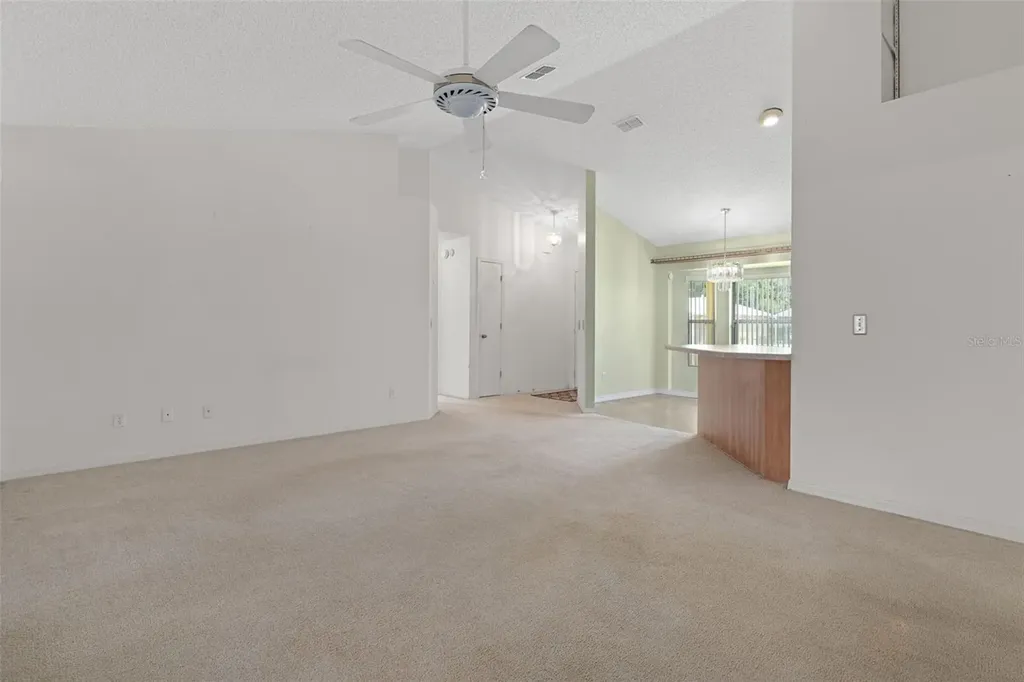 2472 Cr 447 Lake Panasoffkee FL 33538