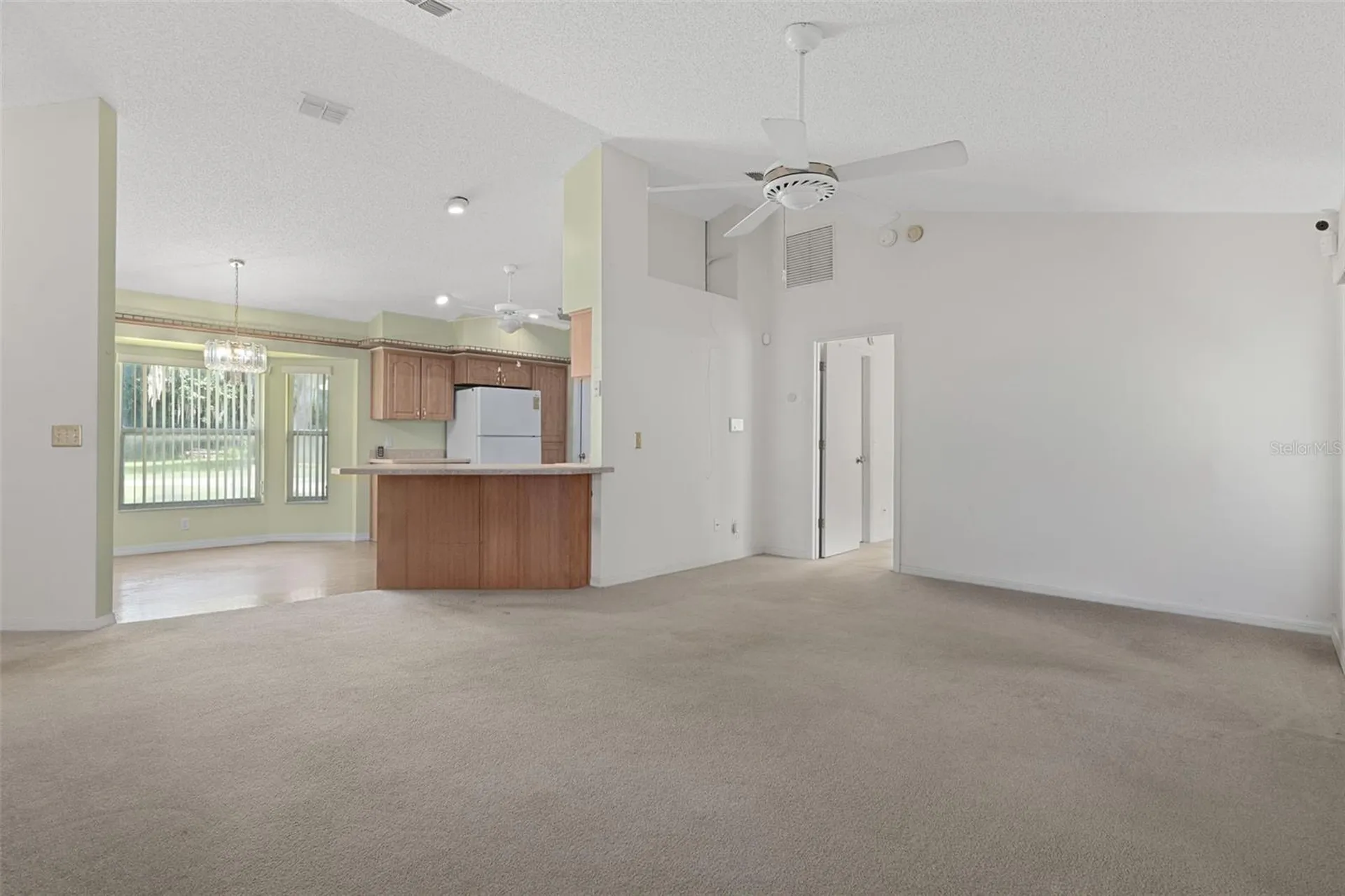 2472 Cr 447 Lake Panasoffkee FL 33538