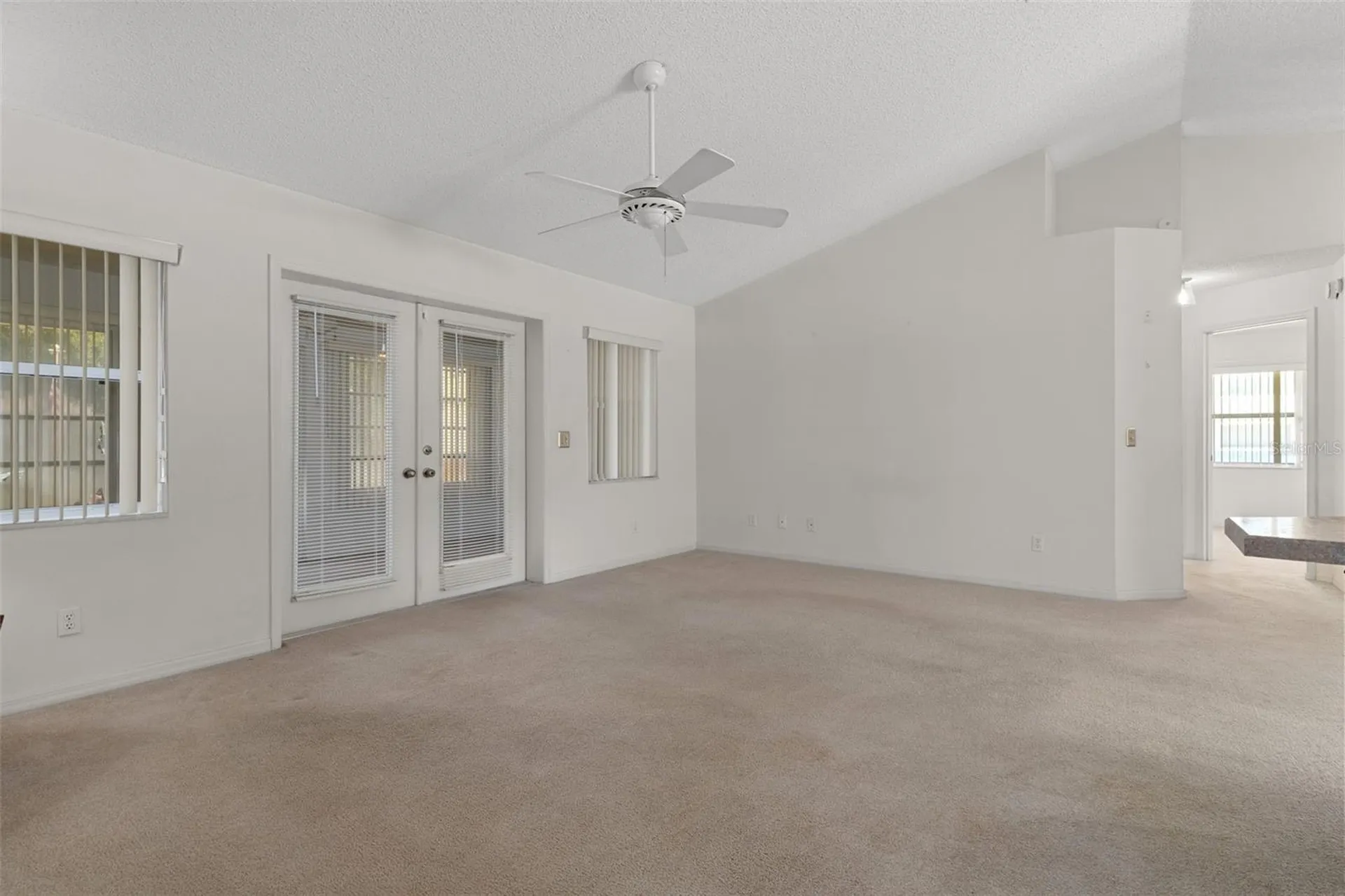 2472 Cr 447 Lake Panasoffkee FL 33538