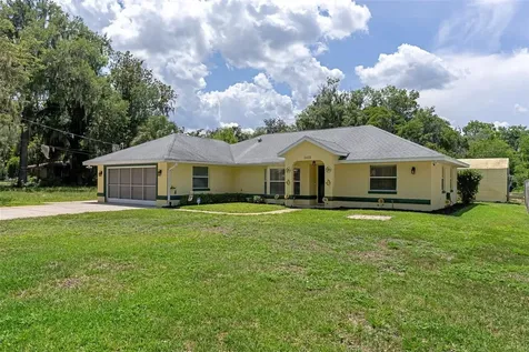 2472 Cr 447 Lake Panasoffkee FL 33538