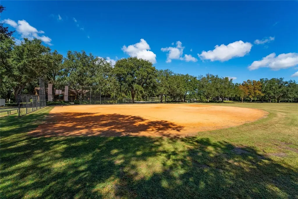 18103 Hamden Park Way Tampa FL 33647